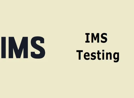 IMS Meaning Text