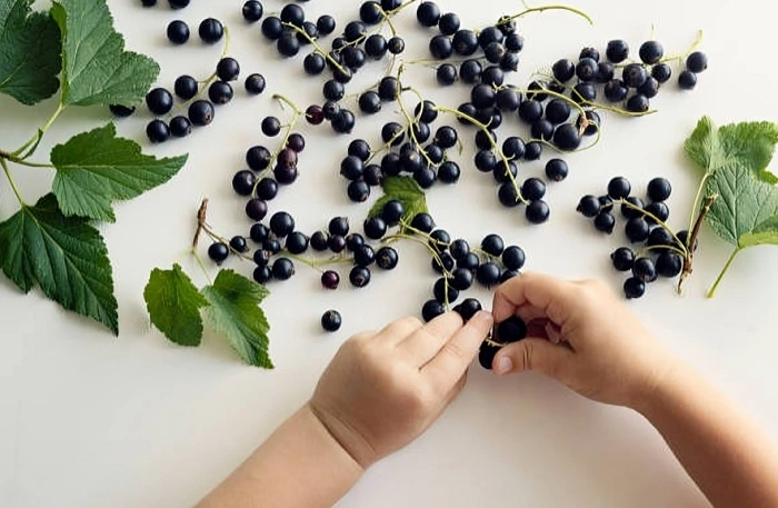 Are Blackberries Acidic?