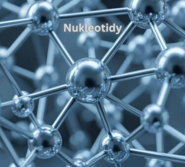 Nukleotidy: Role in DNA and Energy