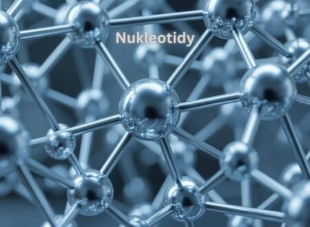 Nukleotidy: Role in DNA and Energy